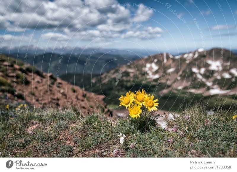 Sonnendeck schön Ferien & Urlaub & Reisen Tourismus Abenteuer Sommer Schnee Berge u. Gebirge wandern Umwelt Natur Landschaft Pflanze Himmel Wolken Klimawandel