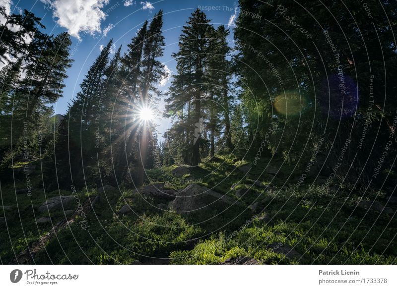 Eagles Nest Wildnis schön Ferien & Urlaub & Reisen Tourismus Abenteuer Sommer Sonne Berge u. Gebirge wandern Umwelt Natur Landschaft Urelemente Erde Himmel