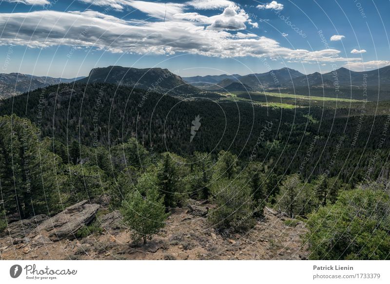 Waldschlucht schön Ferien & Urlaub & Reisen Tourismus Abenteuer Sommer Berge u. Gebirge Umwelt Natur Landschaft Himmel Wolken Klimawandel Wetter Baum Park Wiese