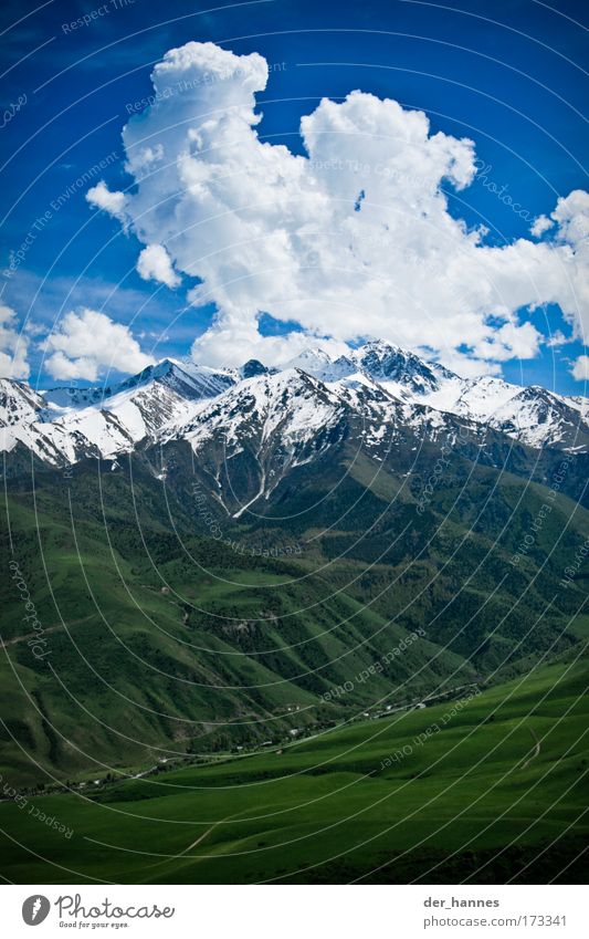 Schattenspender Farbfoto mehrfarbig Außenaufnahme Luftaufnahme Menschenleer Textfreiraum unten Tag Licht Silhouette Zentralperspektive Weitwinkel Umwelt Natur