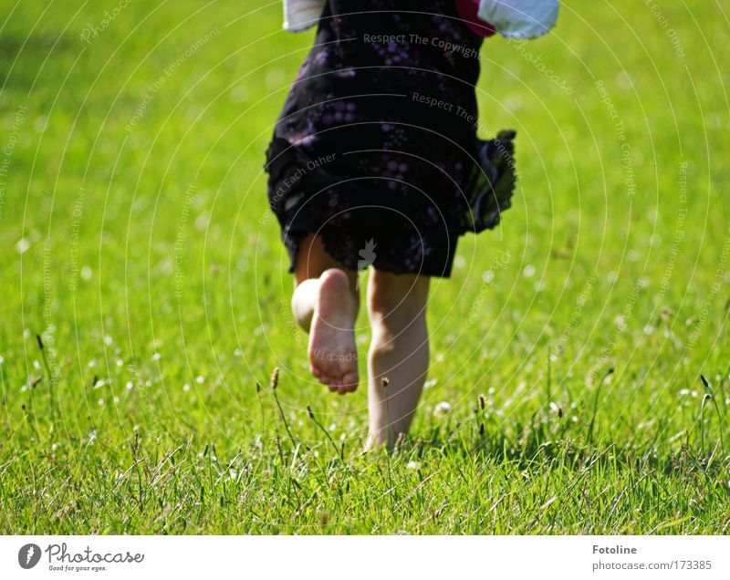 Lauf Laura! Farbfoto mehrfarbig Außenaufnahme Tag Sonnenlicht Mensch Mädchen Rücken Beine 1 3-8 Jahre Kind Kindheit Umwelt Natur Landschaft Erde Schönes Wetter