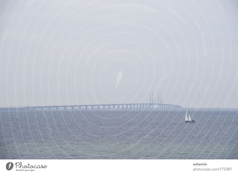 Weite See Farbfoto Außenaufnahme Abend Segeln Horizont schlechtes Wetter Ostsee Meer Brücke Oeresund Brücke Schifffahrt Sportboot Segelboot Segelschiff Bewegung