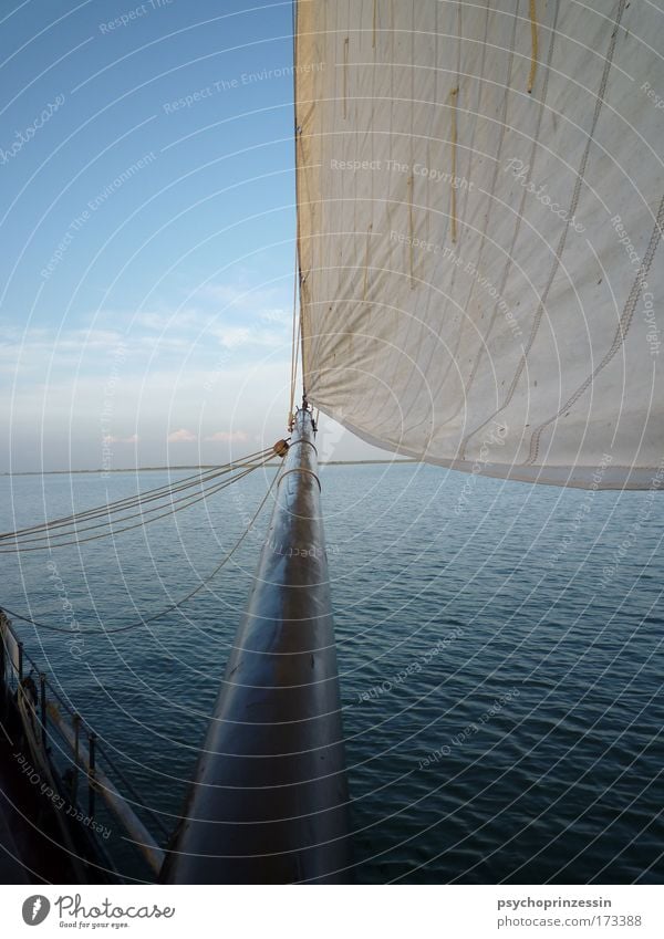 Horizonterweiterung Farbfoto Außenaufnahme Menschenleer Textfreiraum links Tag Dämmerung Kontrast Zentralperspektive Segeln Schifffahrt Wasserfahrzeug Segelboot