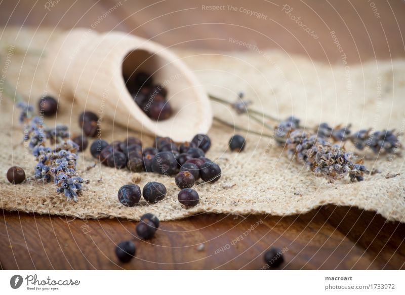 wacholderbeeren und lavendel Kinderschippe Wacholder Beeren Kochlöffel Lavendel getrocknet lavendelblüten gewürzlöffel Leinen Holzfußboden Löffel kochzutaten