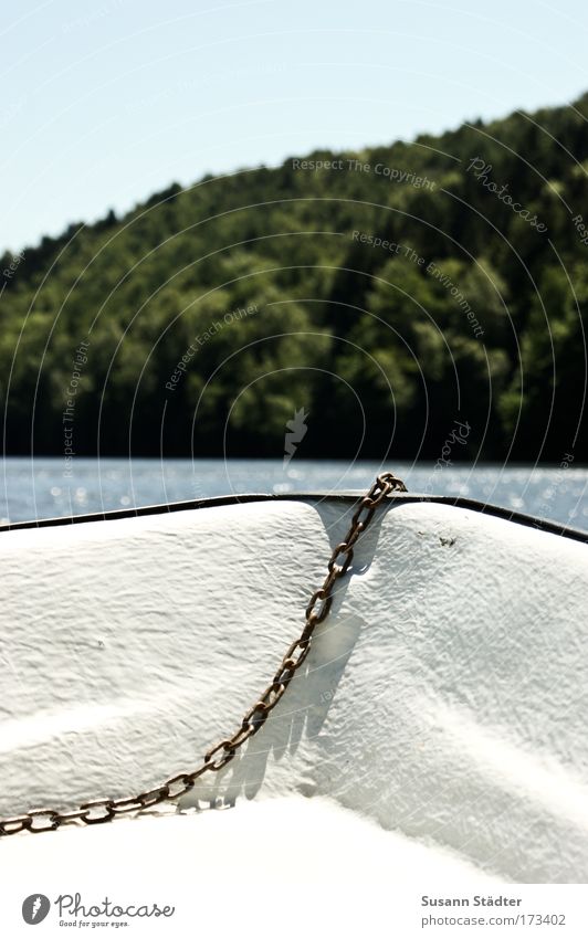 Ein Wind weht von Süd... Farbfoto Detailaufnahme Menschenleer Textfreiraum oben Textfreiraum unten Tag Licht Schatten Lichterscheinung Sonnenlicht