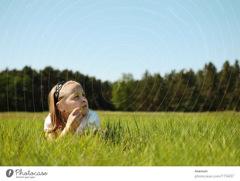 in Gedanken Farbfoto Gedeckte Farben Außenaufnahme Textfreiraum rechts Textfreiraum oben Hintergrund neutral Tag Kontrast Sonnenlicht Zentralperspektive Totale