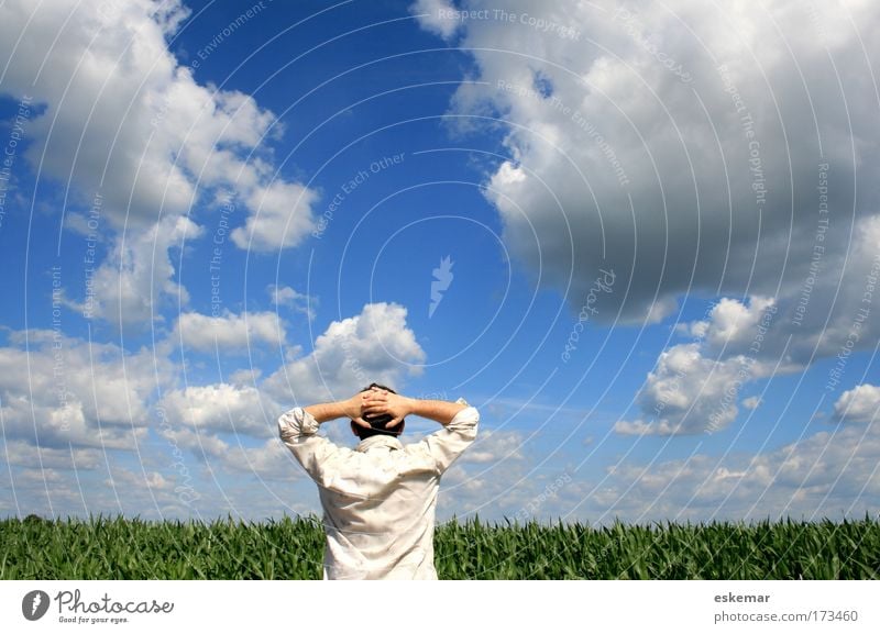 summer Farbfoto Außenaufnahme Textfreiraum oben Tag Licht Kontrast Sonnenlicht Oberkörper Rückansicht Mensch maskulin Mann Erwachsene 1 Natur Landschaft Himmel