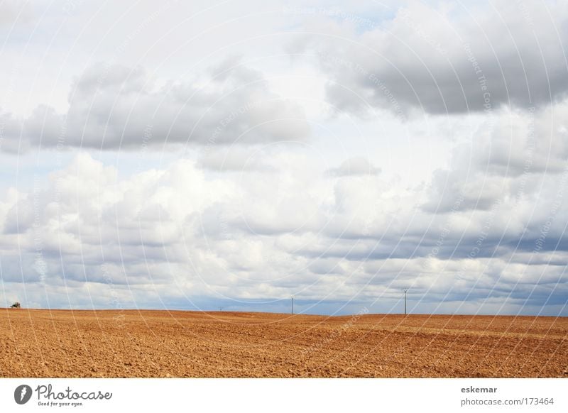 Land Farbfoto Außenaufnahme Menschenleer Textfreiraum links Textfreiraum rechts Textfreiraum oben Textfreiraum unten Textfreiraum Mitte Hintergrund neutral Tag