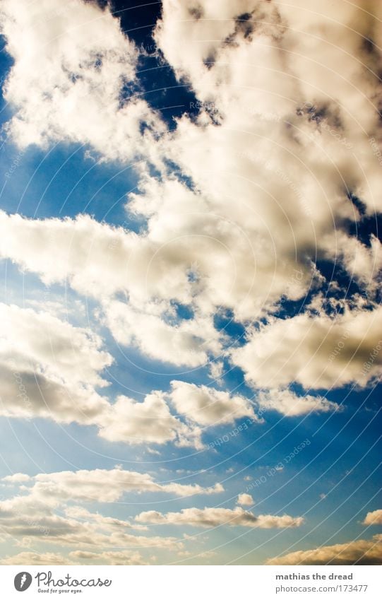 WIE IM HIMMEL Farbfoto mehrfarbig Außenaufnahme Menschenleer Morgen Tag Licht Sonnenlicht Sonnenstrahlen Sommer Winter Natur Luft Himmel nur Himmel Wolken