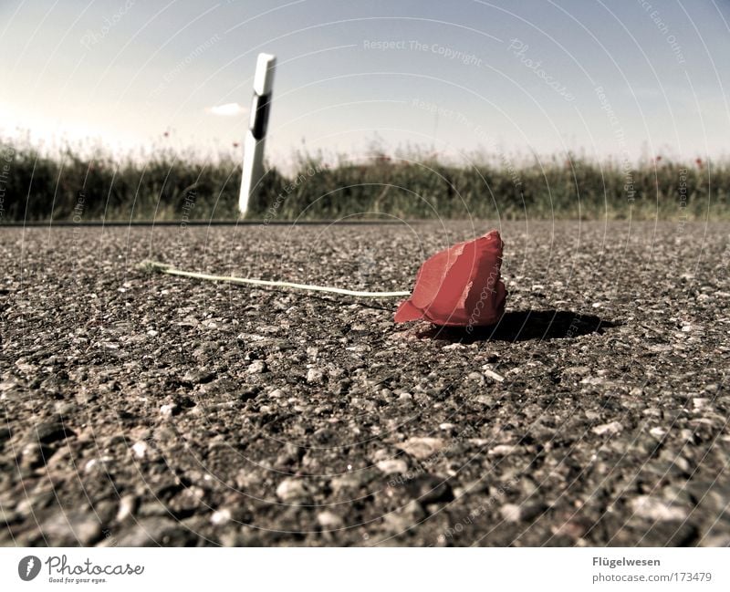 Aber du hast mich einfach fallengelassen... Farbfoto Außenaufnahme Tag ruhig Freizeit & Hobby Ausflug Umwelt Natur Himmel Pflanze Blume Straße Beton Blühend