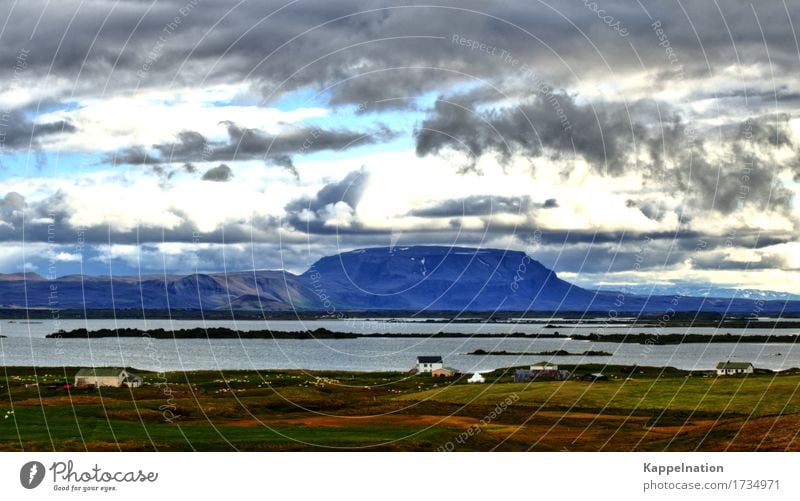 Bauernhof Island Ferien & Urlaub & Reisen Tourismus Freiheit Natur Wolken Sonnenlicht Sommer Feld Berge u. Gebirge Seeufer Europa Dorf Tierliebe Einsamkeit