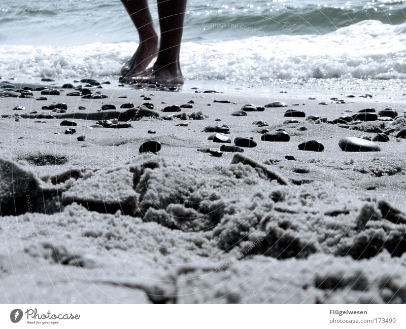 Du blöde Kuh, jedes Jahr verlierst du deinen Ring am Strand! Farbfoto Außenaufnahme Tag Lifestyle Freizeit & Hobby Ferien & Urlaub & Reisen Tourismus Fuß Wasser