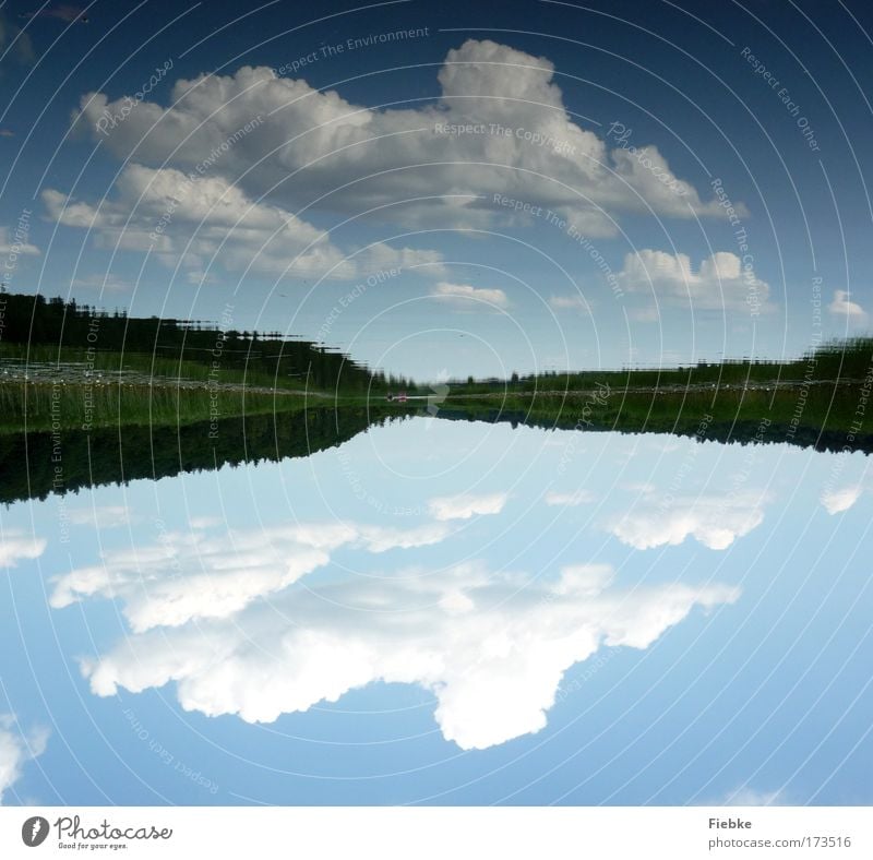 Spiegelwelt Farbfoto Außenaufnahme Textfreiraum oben Textfreiraum unten Tag Licht Umwelt Natur Landschaft Wasser Himmel Wolken Sommer Schönes Wetter Baum Küste