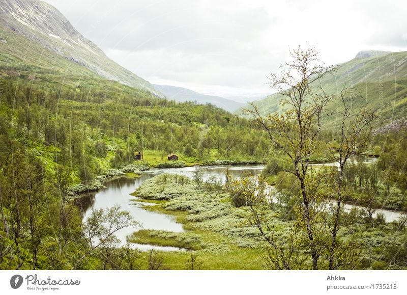 Skaitidalen Natur Landschaft schlechtes Wetter Berge u. Gebirge Wald grün Optimismus Ferne Ziel Farbfoto Außenaufnahme Menschenleer Gegenlicht Vogelperspektive