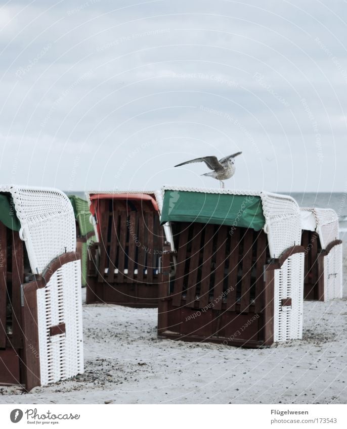 Ich mach denn mal nen Abflug... Farbfoto Außenaufnahme Tag Lifestyle Ferien & Urlaub & Reisen Ausflug Himmel Wellen Küste Seeufer Strand Nordsee Ostsee Meer