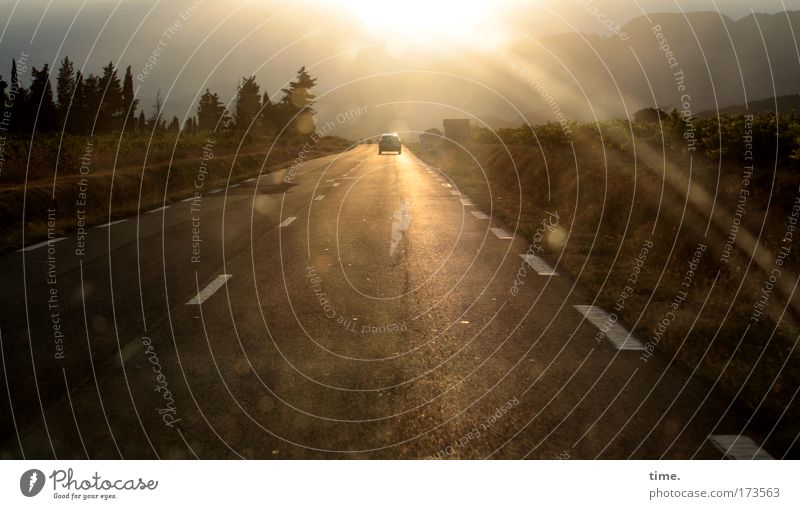 Nach Süden Autobahn Abendsonne straße PKW Fahrbahn Gegenlicht Baum Sehnsucht Fernweh Ferien & Urlaub & Reisen scheibe Scheibenwischer Horizont Flucht