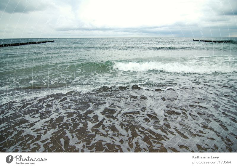 Ab in den Osten Farbfoto Außenaufnahme Textfreiraum oben Textfreiraum unten Tag Zentralperspektive Umwelt Landschaft Urelemente Sand Wasser Wolken Horizont