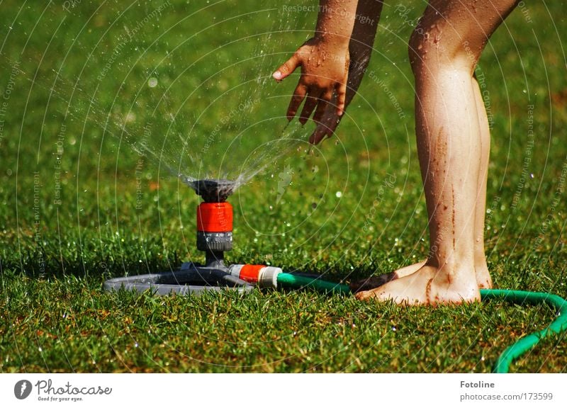 Wasserspiel Farbfoto mehrfarbig Außenaufnahme Tag Mensch Mädchen Arme Hand Finger Beine Fuß 1 3-8 Jahre Kind Kindheit Umwelt Natur Pflanze Erde Wassertropfen