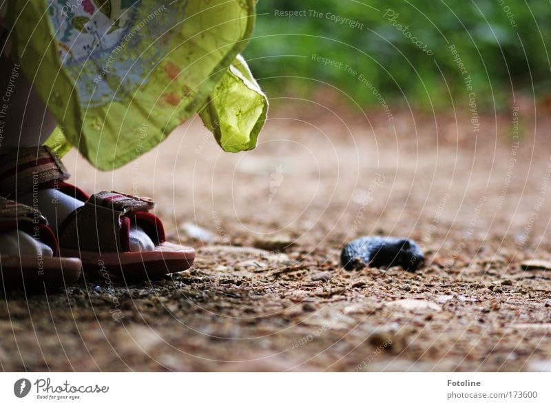 Kleine Forscherin Farbfoto mehrfarbig Außenaufnahme Textfreiraum rechts Tag Unschärfe Umwelt Natur Landschaft Pflanze Tier Erde Sand Schönes Wetter Gras