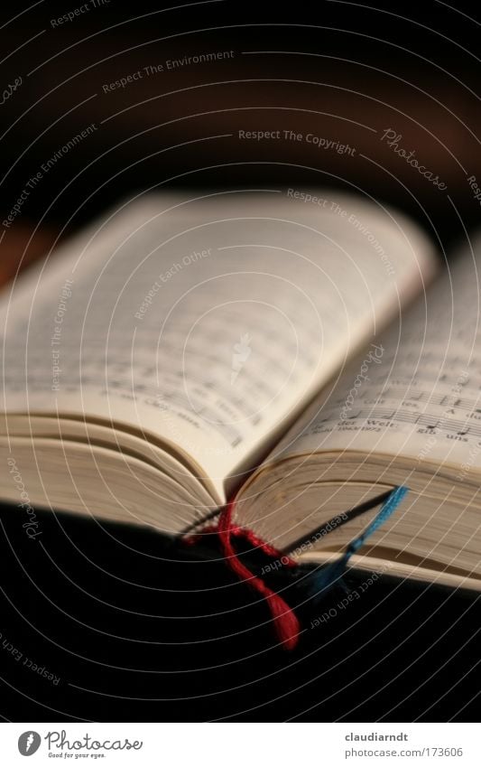 Sonntags Farbfoto Innenaufnahme Detailaufnahme Textfreiraum oben Textfreiraum unten Schwache Tiefenschärfe Sänger Chor Musiknoten Lied Buch Gesangbuch Kirche