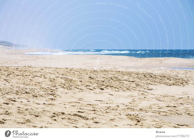 weiter Horizont Ferien & Urlaub & Reisen Ferne Freiheit Sommerurlaub Strand Meer Landschaft Wasser Himmel Schönes Wetter Küste Sand Fußspur frei Unendlichkeit