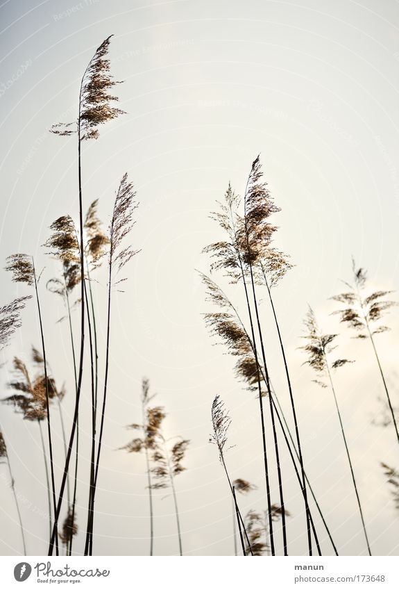 air brush Farbfoto Gedeckte Farben Außenaufnahme Strukturen & Formen Textfreiraum oben Hintergrund neutral Tag Kontrast Sonnenlicht Zentralperspektive Totale