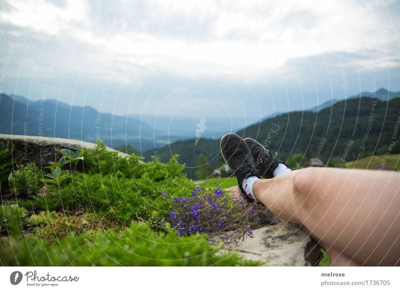 Schöne Beene ... Sommerurlaub Berge u. Gebirge wandern Frau Erwachsene Haut Beine Fuß 1 Mensch 30-45 Jahre Landschaft Erde Himmel Wolken Schönes Wetter Blume