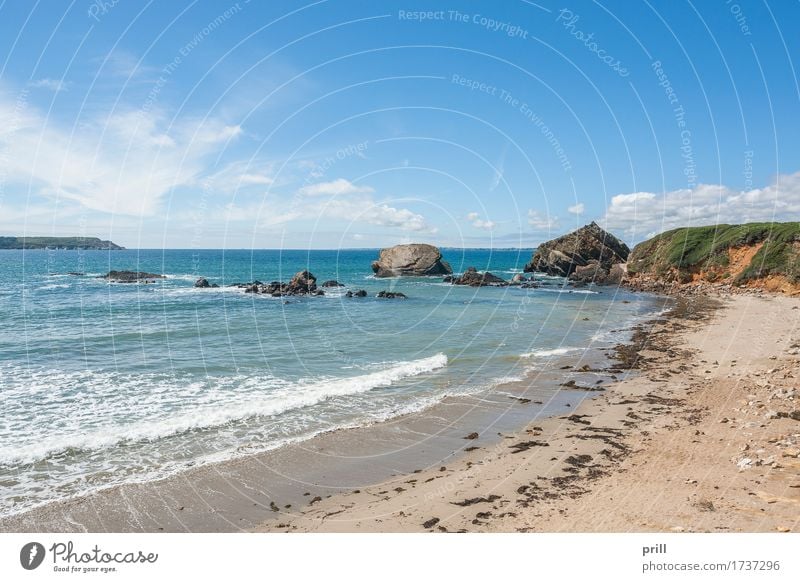 crozon peninsula in Brittany Sommer Strand Meer Natur Landschaft Pflanze Sand Wasser Sträucher Felsen Küste Stein Abenteuer Crozon Halbinsel Bretagne Atlantik