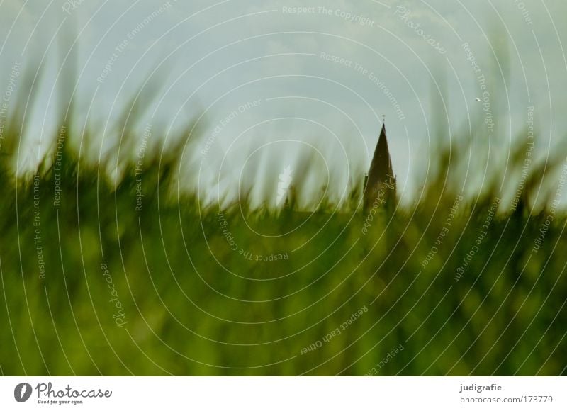 Vineta Farbfoto Außenaufnahme Tag Froschperspektive Umwelt Natur Landschaft Pflanze Himmel Gras Wiese Barth Kirche Bauwerk Sehenswürdigkeit grün Glaube