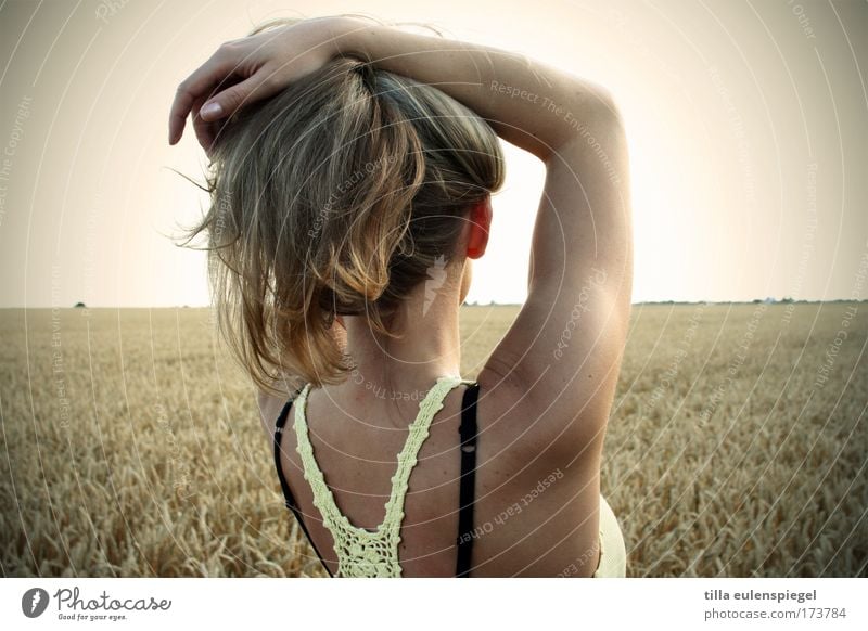 sommerstimmung Farbfoto Außenaufnahme Rückansicht Wegsehen feminin Frau Erwachsene 1 Mensch 18-30 Jahre Jugendliche Sommer Schönes Wetter Feld genießen Blick