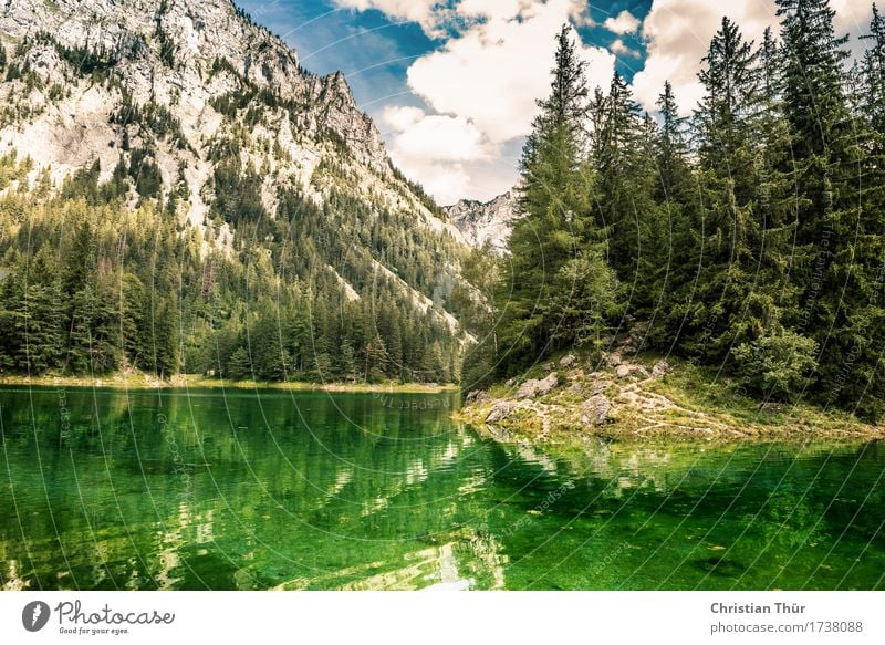 Grüner See Wellness harmonisch Wohlgefühl Zufriedenheit Sinnesorgane Erholung ruhig Meditation Duft Tourismus Ausflug Abenteuer Ferne Freiheit Camping Sommer