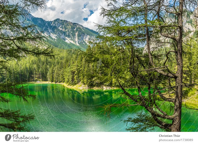 Grüner See Gesundheit Wellness Leben harmonisch Wohlgefühl Zufriedenheit Sinnesorgane Erholung ruhig Meditation Schwimmen & Baden Ferien & Urlaub & Reisen