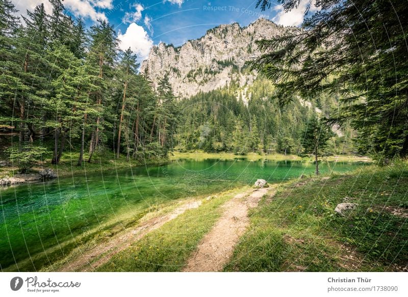 Grüner See Lifestyle Wellness harmonisch Zufriedenheit Sinnesorgane Erholung ruhig Meditation Ferien & Urlaub & Reisen Ausflug Ferne Freiheit Strand