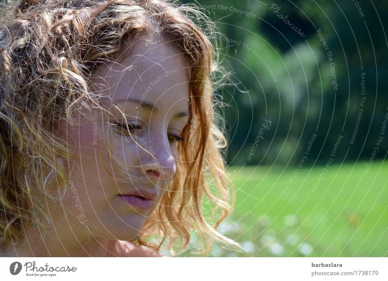 Sommerwind feminin Frau Erwachsene 1 Mensch Natur Landschaft Sonne Klima Wind Wiese Wald blond Locken genießen natürlich Wärme Gefühle Stimmung Erholung