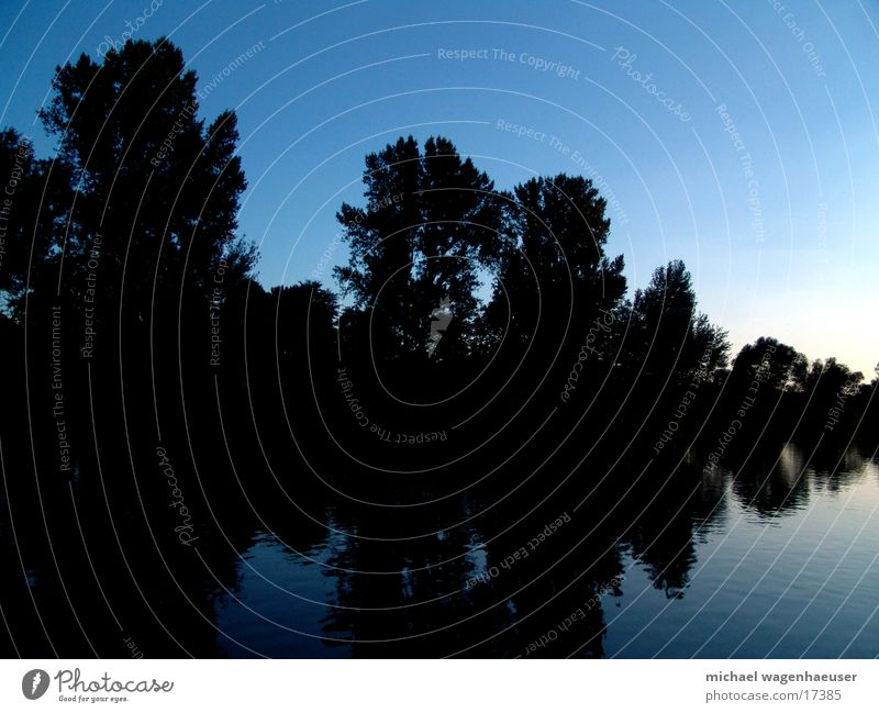 Der Main bei Haßfurt Baum Reflexion & Spiegelung Dämmerung Fluss Wasser