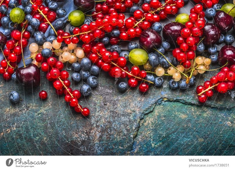 Köstliche Sommerbeeren Lebensmittel Frucht Ernährung Bioprodukte Vegetarische Ernährung Diät Stil Design Gesundheit Gesunde Ernährung Beeren Auswahl Blaubeeren