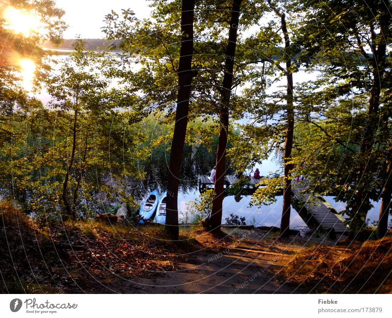 Sommerabend Farbfoto Außenaufnahme Textfreiraum unten Abend Reflexion & Spiegelung Sonnenlicht Sonnenstrahlen Sonnenaufgang Sonnenuntergang Gegenlicht Angeln