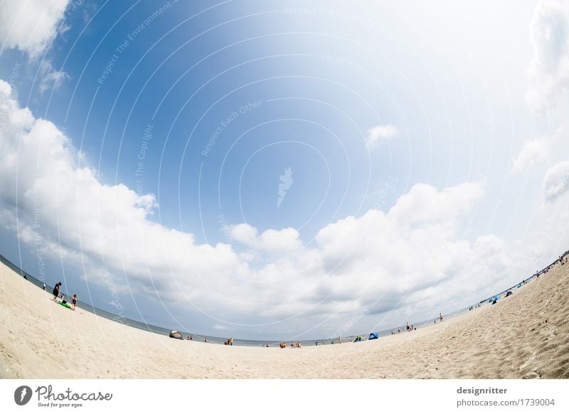 Zufriedener Blick in die Runde Ferien & Urlaub & Reisen Sommer Sommerurlaub Sonne Sonnenbad Schwimmen & Baden Sand Luft Wasser Himmel Schönes Wetter Küste