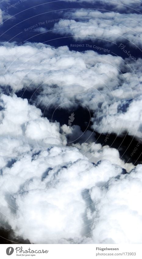 Ich sollte mit dem Rauchen aufhören, ehrlich! Farbfoto Außenaufnahme Tag Umwelt Himmel nur Himmel Wolken Gewitterwolken Sonne Sommer Klimawandel Schönes Wetter