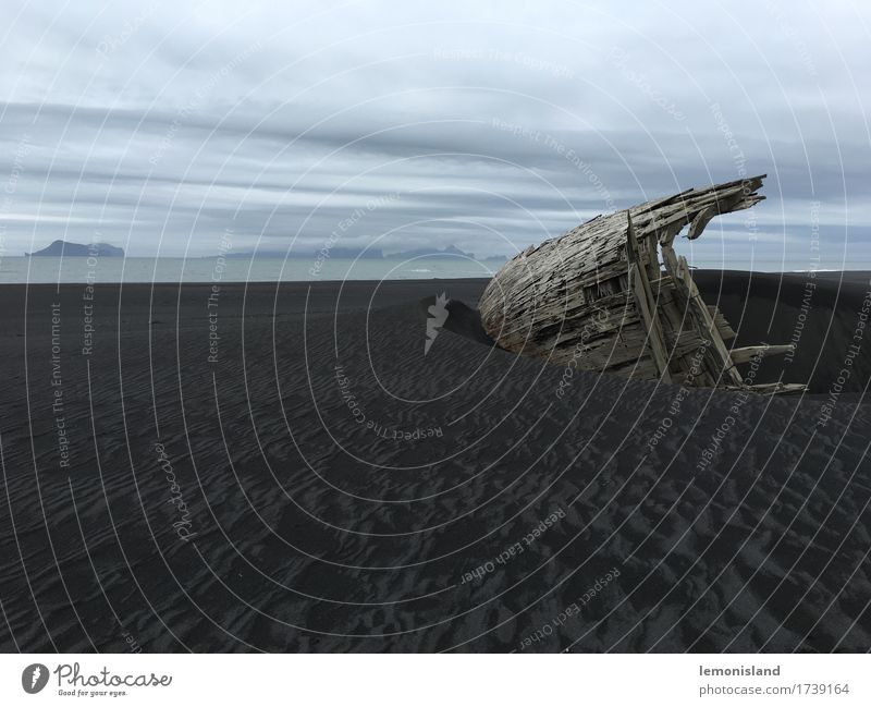 Gestranded Abenteuer Ferne Strand Entdecker Schifffahrt Skelett Skulptur Landschaft Sand Wetter Küste Schiffswrack Ende Perspektive desillusioniert