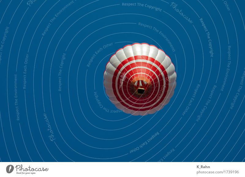 total abgehoben Freizeit & Hobby Luftverkehr Pilot Himmel Wolkenloser Himmel Ballone fahren fliegen heiß hell historisch schön rot Freude Glück Begeisterung