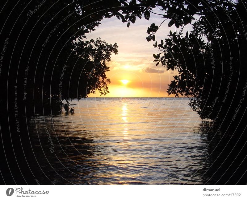 sunset Sonnenuntergang Licht leicht Meer light Wasser water sea