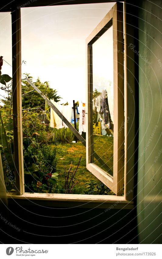 Gartenlaube Sommer Gras Sträucher Gartenhaus Fenster Erholung ruhig Farbfoto Außenaufnahme Innenaufnahme Textfreiraum oben Textfreiraum unten Licht Schatten