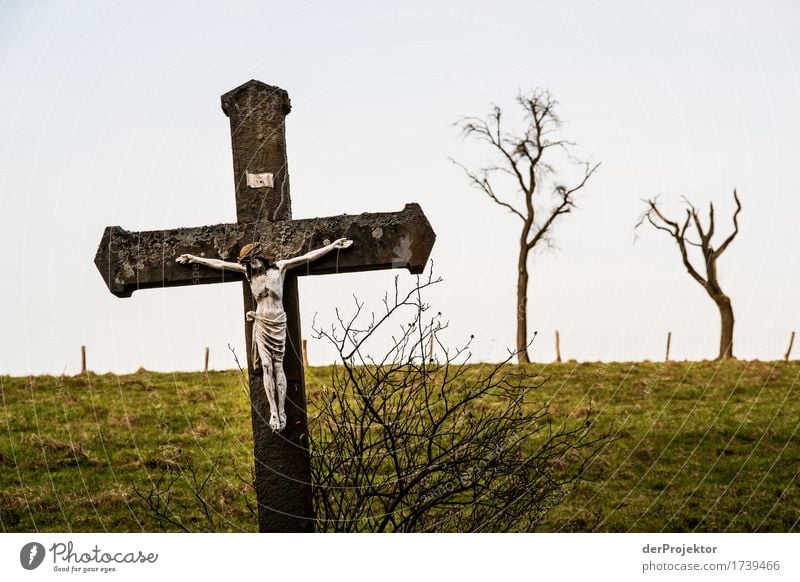 Jesus auf dem Land Umwelt Natur Landschaft Pflanze Frühling schlechtes Wetter Baum Feld Hügel Zeichen Kreuz Mitgefühl gehorsam friedlich Güte Opferbereitschaft