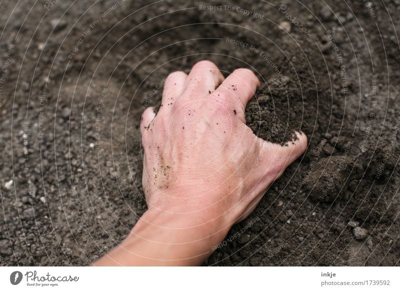 buddeln Gartenarbeit Erwachsene Leben Hand 1 Mensch Natur Urelemente Erde einfach fest frisch natürlich braun Graben matschen greifen nehmen Farbfoto