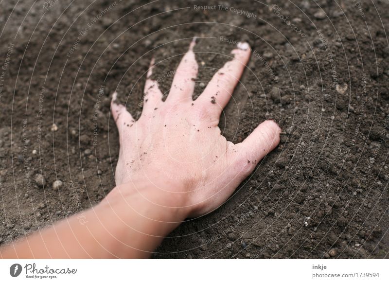 fühlen Gartenarbeit Erwachsene Leben Hand 1 Mensch Natur Urelemente Erde berühren authentisch dreckig frisch natürlich weich braun Sinnesorgane Glätten Farbfoto