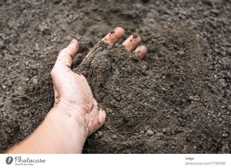 graben Hand 1 Mensch Natur Urelemente Erde frisch braun Sinnesorgane Graben matschen berühren Farbfoto Außenaufnahme Nahaufnahme Textfreiraum links