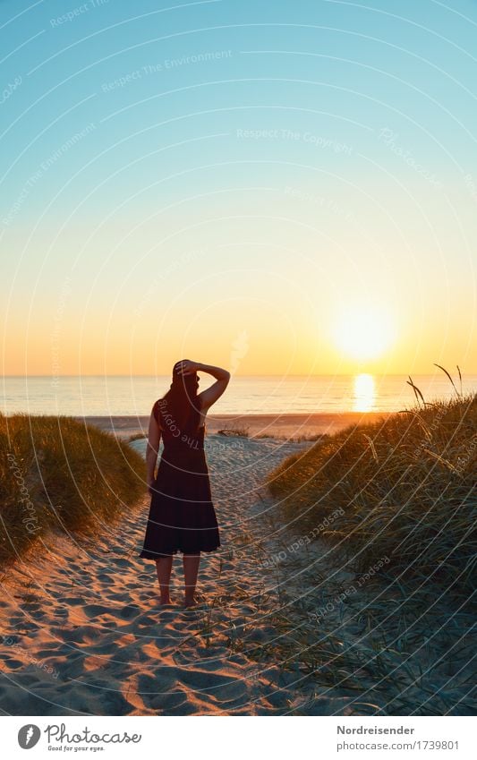 Meerblick harmonisch Wohlgefühl Sinnesorgane Erholung ruhig Ferien & Urlaub & Reisen Sommer Sommerurlaub Strand Feierabend Mensch feminin Frau Erwachsene