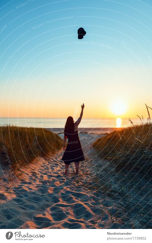 Ankommen .... Freude Leben Kur Ferien & Urlaub & Reisen Freiheit Sommer Sommerurlaub Strand Meer Mensch feminin Frau Erwachsene Natur Landschaft Wasser