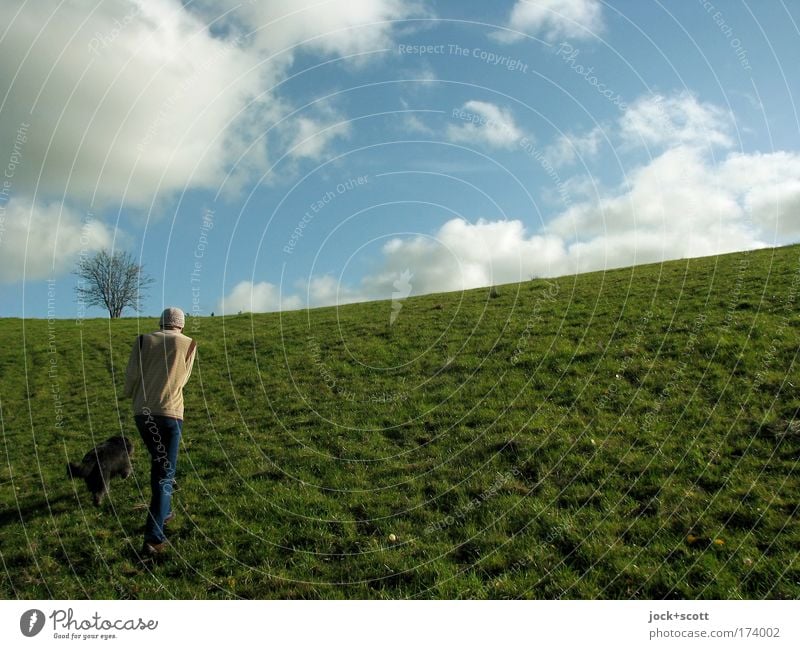 moln.se grüner Hügel in Schweden Spaziergang Mensch Landschaft Wolken Schönes Wetter Wiese Hund laufen Einsamkeit Erholung Idylle Inspiration Leichtigkeit